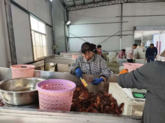 好水育好虾！怀远小龙虾养殖面积冲破&hellip;
